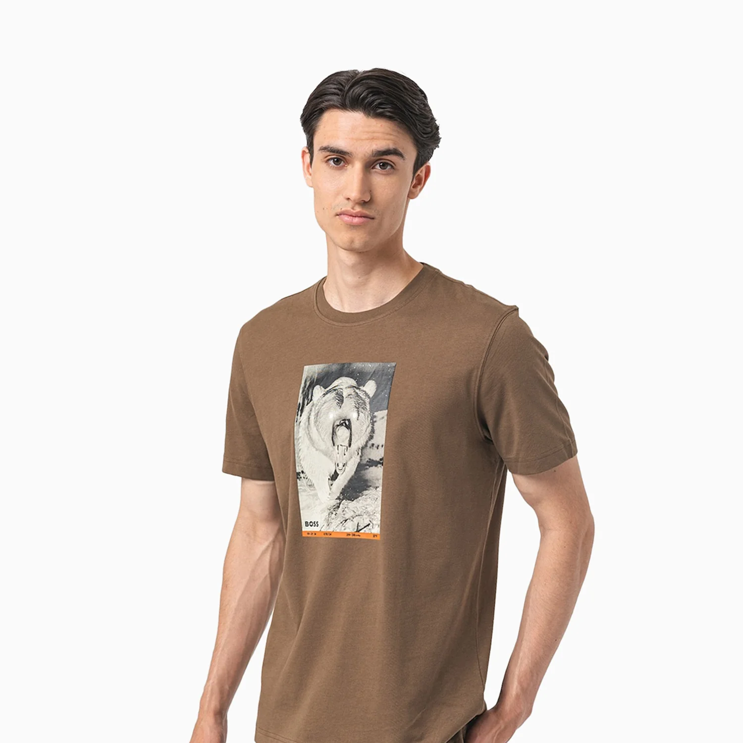 Men's Cotton Jersey Regular Fit T-Shirt With Seasonal Graphic Print - Image 5