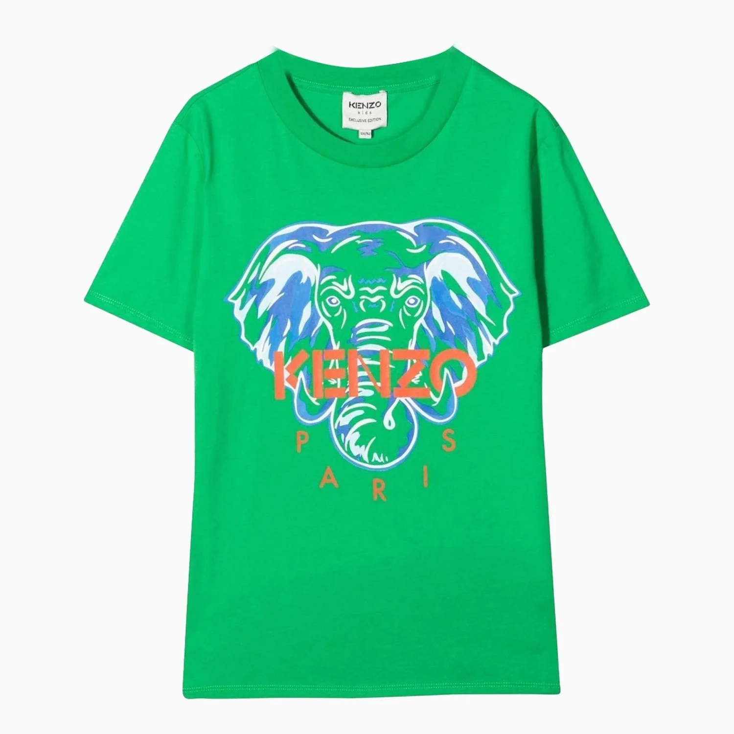 Kid's Tiger Short Sleeves T Shirt