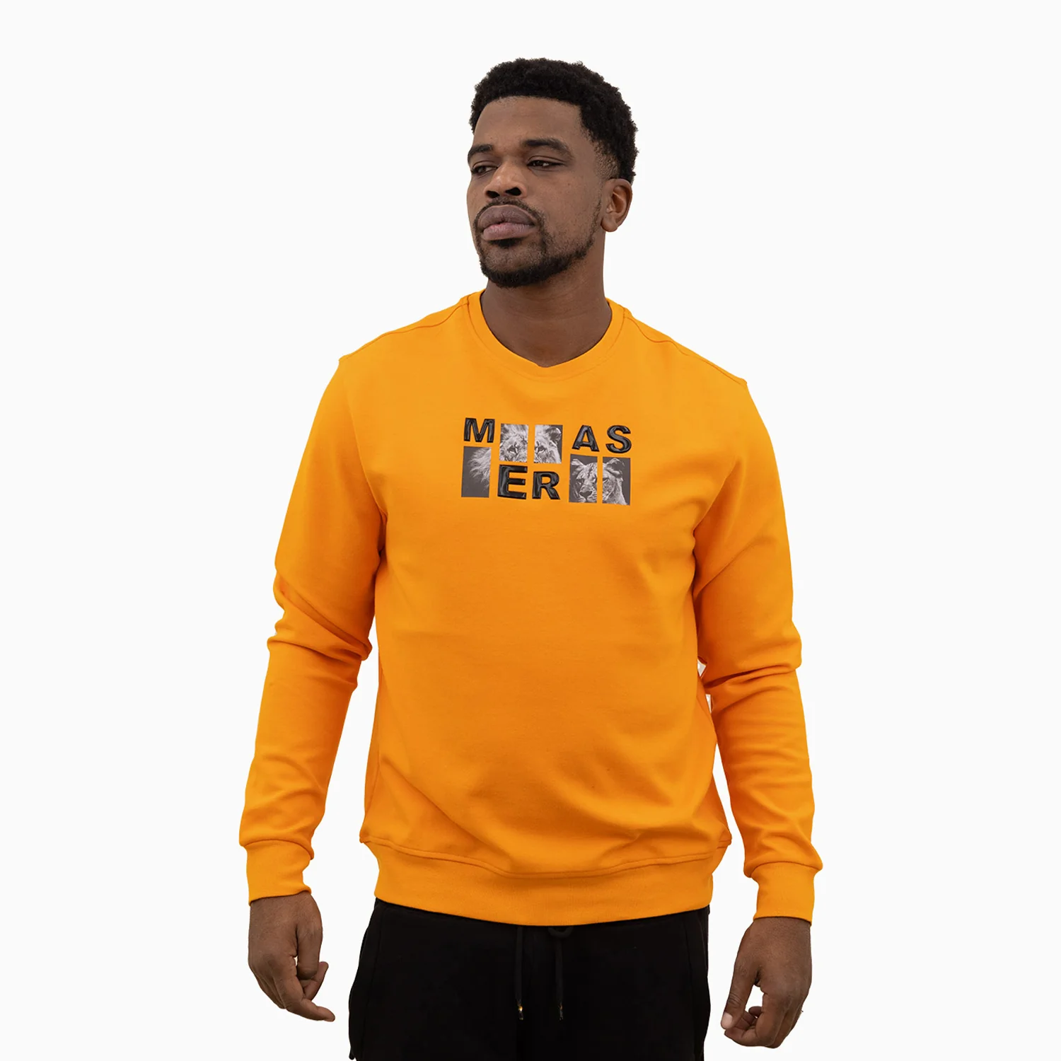 Men's Lion Graphic Crew Neck Sweatshirt - Image 8