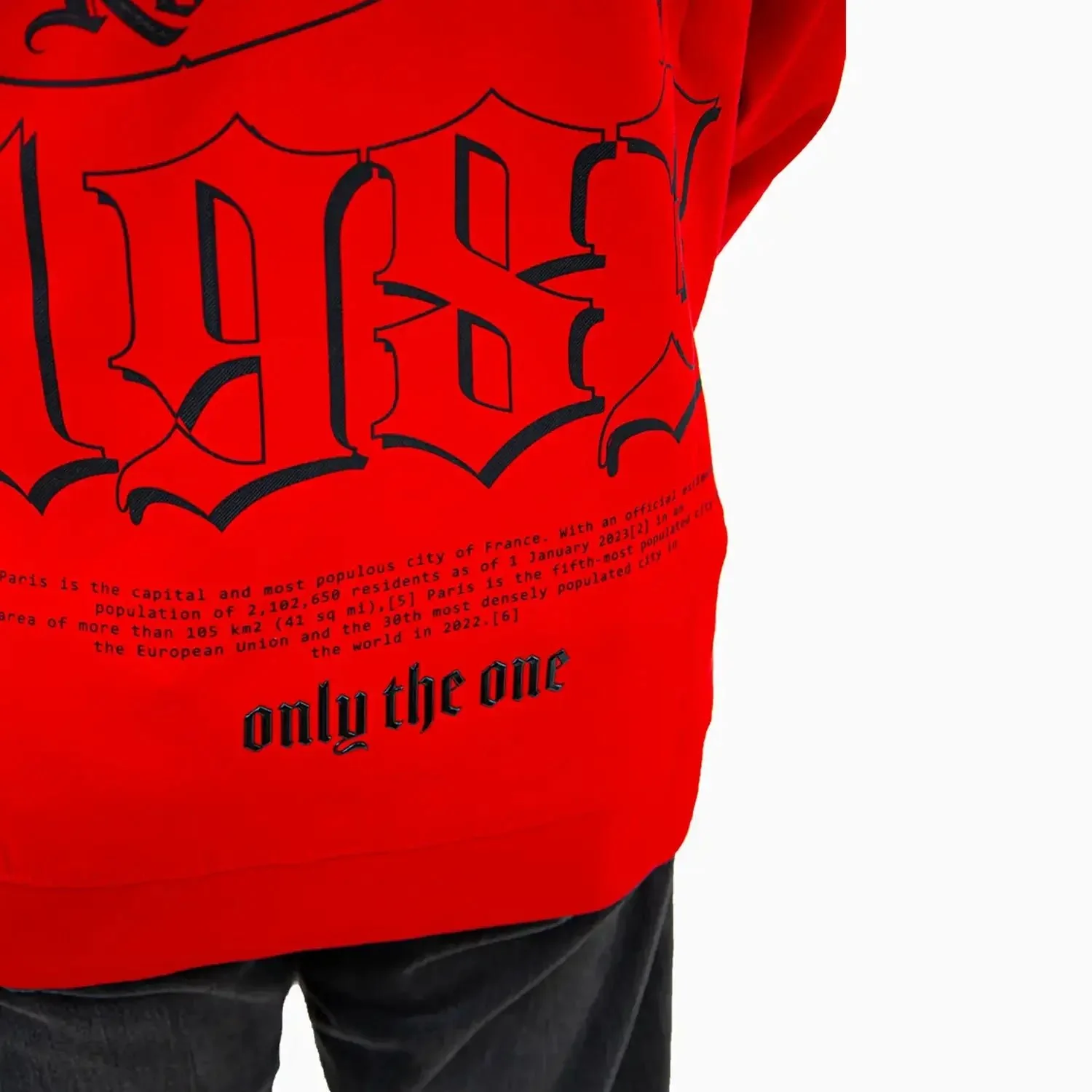 Men's Paris Pull Over Hoodie - Image 5