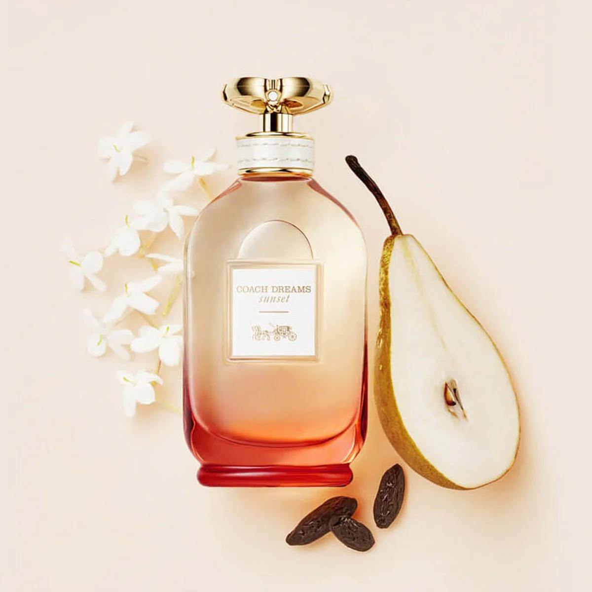 Women's Coach Dream Sunset EDP Spray 3.0 Oz - Image 2