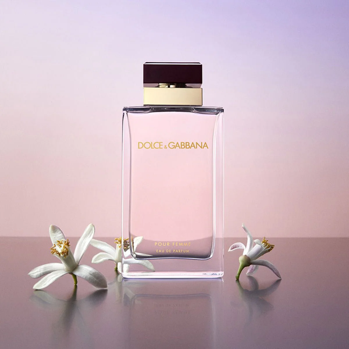 Women's Dolce & Gabbana Pour Femme EDP Spray 3.3 Oz - Image 4